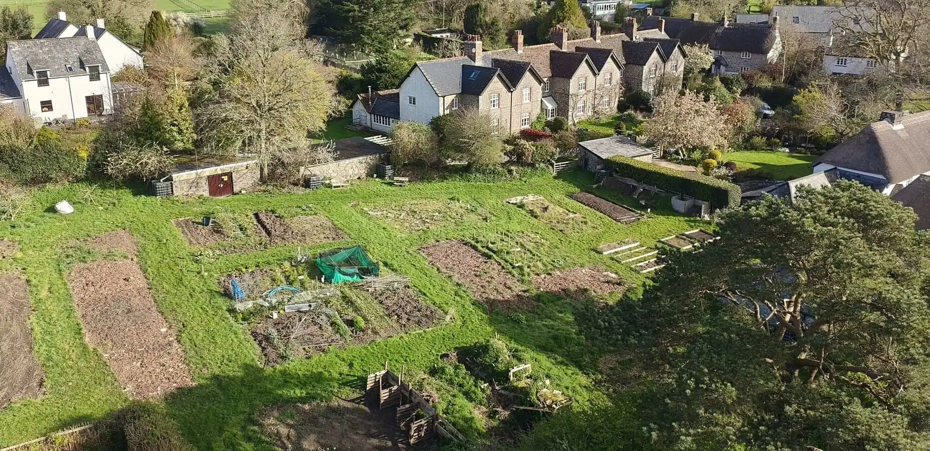 The allotment plots from above in April, with the cottages of North Bovey behind
